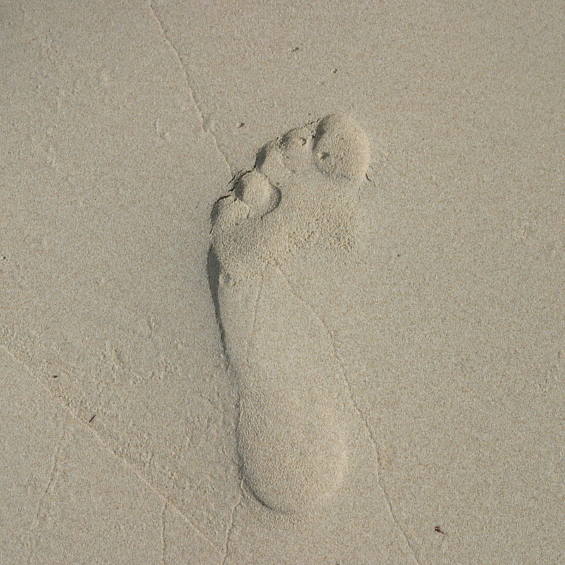 Foot Stamp, beach, pfurman, sand, HD phone wallpaper