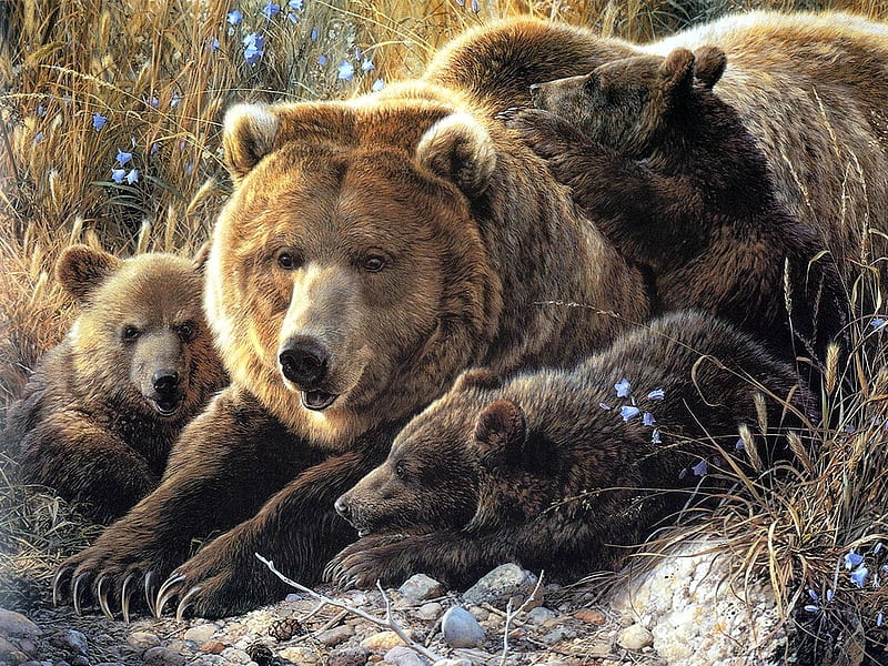Bears family, family, brown, painting, bear, nature, bears, animals, HD wallpaper