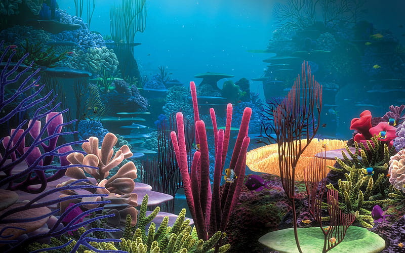 Down Below, fish, ocean, coral, water, plants, nature, white, pink, blue, HD wallpaper