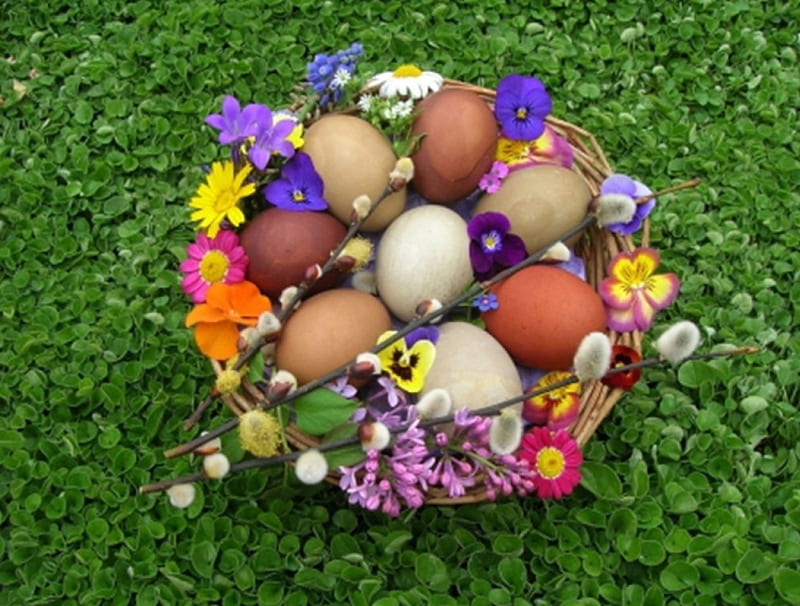 Easter basket, Easter, still life, graphy, basket, eggs, HD wallpaper Easter basket, Easter, still life, graphy, basket, eggs, HD wallpaper