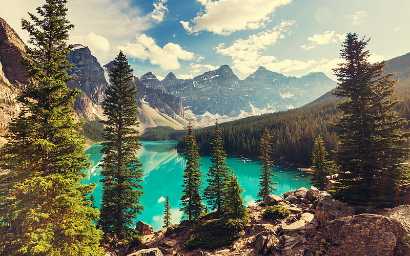 Moraine Lake, summer, Banff National Park, forest, mountains, Canada, HD wallpaper