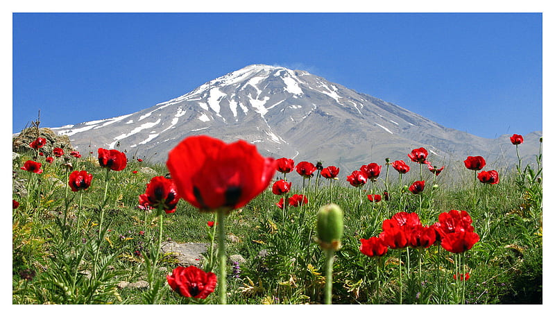 Damavand mountain, mountain, damavand, nature, HD wallpaper | Peakpx