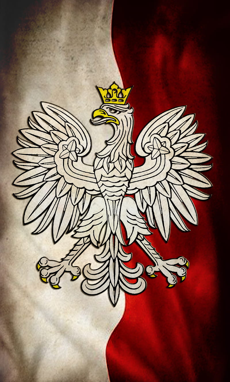 Polska Flaga i Godlo, bydgoszcz, flag, polad, polen, polish, HD phone wallpaper