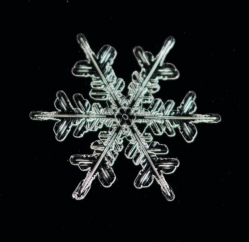 snowflake, ice, macro, pattern, crystal, HD wallpaper