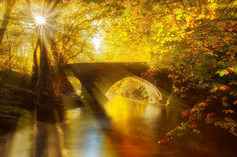 Autumn Bridge Autumn Sun Orange Toamna Yellow Peisaj Lake Water Bridge Hd Wallpaper