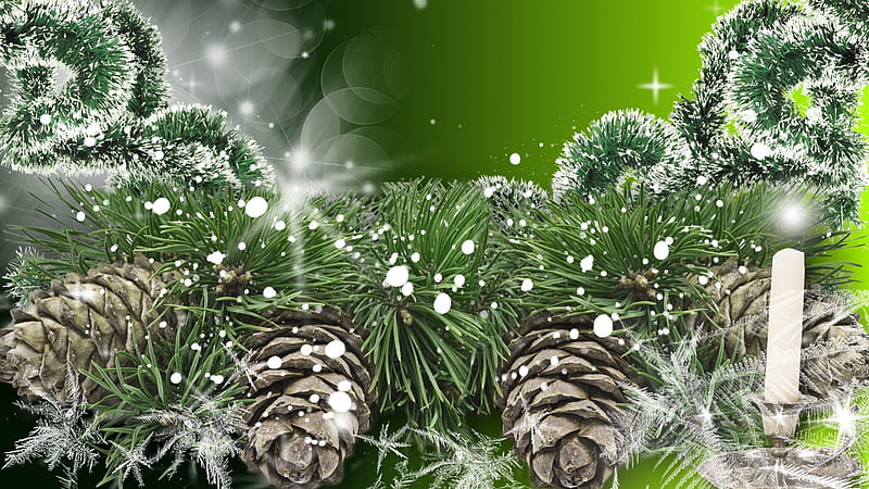 Green Shine of Winter, feliz navidad, christmas, cones, winter, green, snow, sprinkle, fir, spruce, HD wallpaper