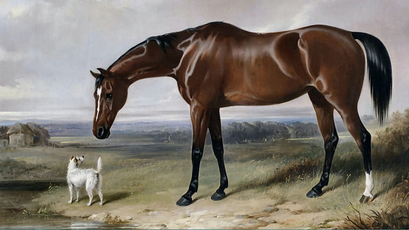 Bay Hunter and Terrier - Horse F, old master, equine, bonito, artwork, canine, animal, painting, wide screen, oldmaster, Barraud, dog, art, William Barraud, thoroughbred, horse, pet, thorobred, HD wallpaper