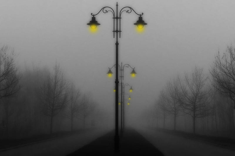 Misty evening, Yellow, Lanternes, Trees, gris, Fog, Nature, Mist, Road, HD wallpaper