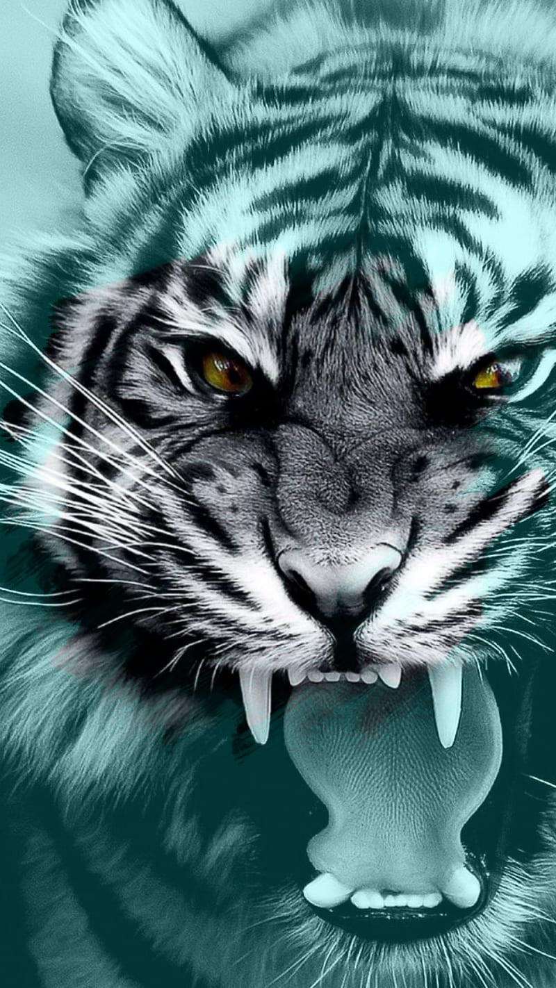Blue Tiger, black, black and white, blue, fierce, roar, tiger, HD phone wallpaper