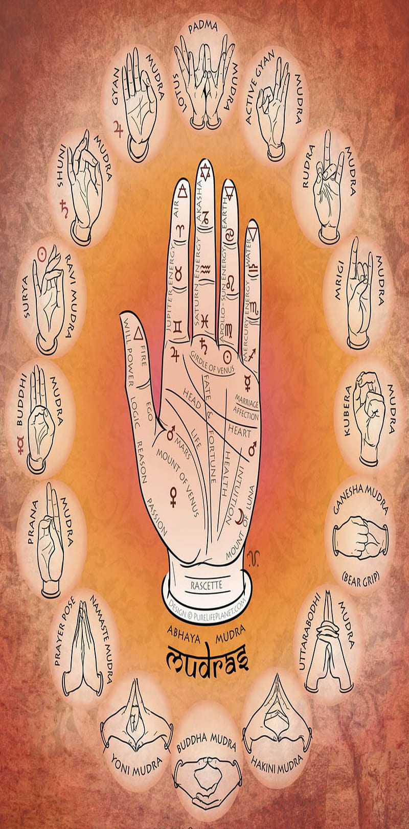 Abhaya mudras, hand, meditation, mind, palm, peace, sign, wisdom, HD phone wallpaper
