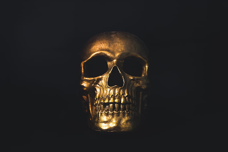 Gold skull decor, HD wallpaper | Peakpx