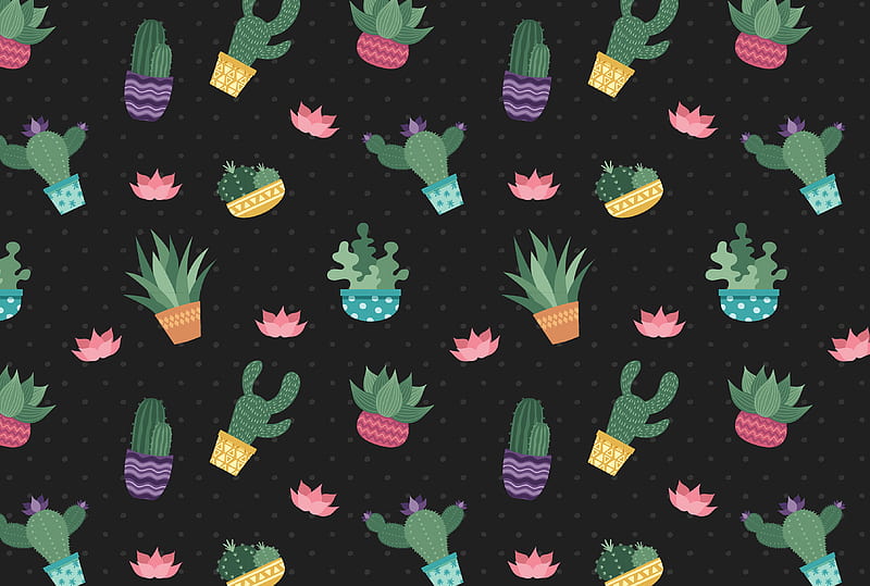 cacti, flowers, pattern, art, HD wallpaper