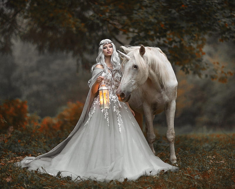:), cal, dress, frumusete, girl, lantern, model, woman, white, horse, HD wallpaper