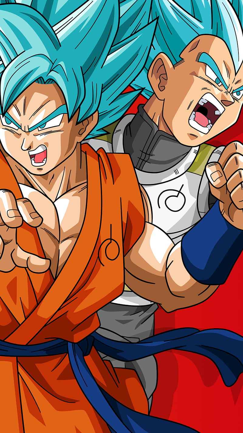 Goku and vegeta, anime, dragon ball super, ssj blue, HD phone wallpaper