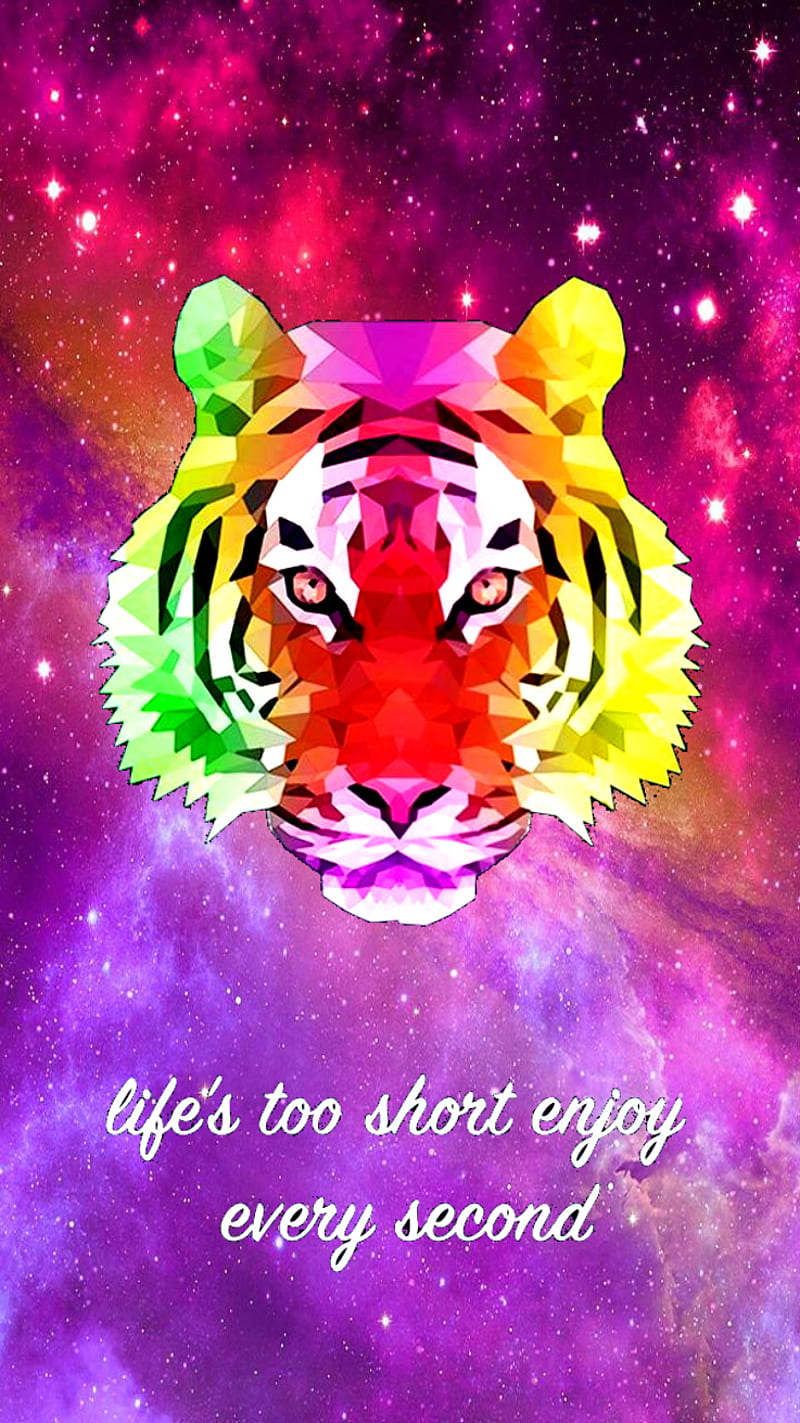 Galaxy Tiger best colourful tiger android HD phone wallpaper  Pxfuel