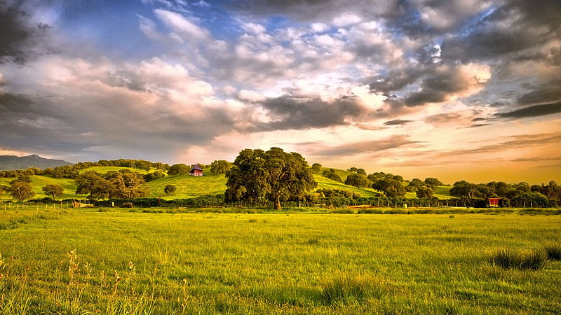 beautiful pastureland, hills, trees, clouds, pastures, HD wallpaper