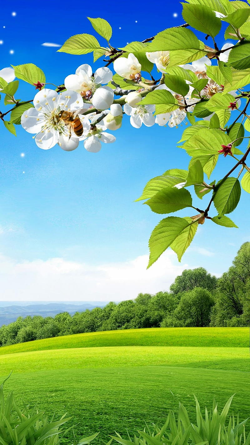 Nature, green, hot, mountain, new, sky, HD phone wallpaper | Peakpx