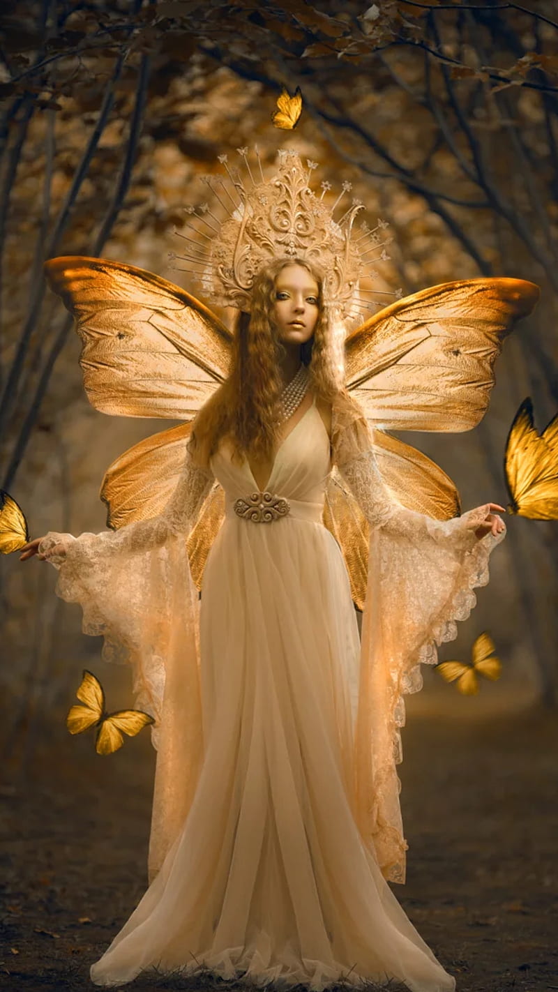 Pretty butterfly, bonito, beauty, butterflies, elegant, fairies ...