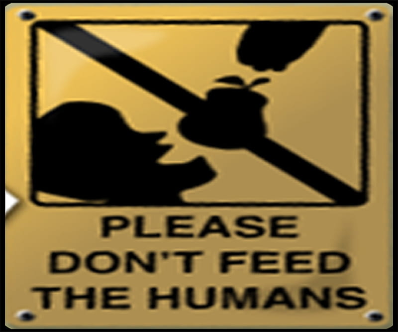 please do not feed the humans, please, food, people, feed, the, do, humans, not, HD wallpaper