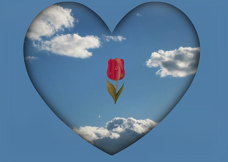 my heart for my Dn friends, heart, red tulip, white clouds, bonito, collage, blue sky, HD wallpaper