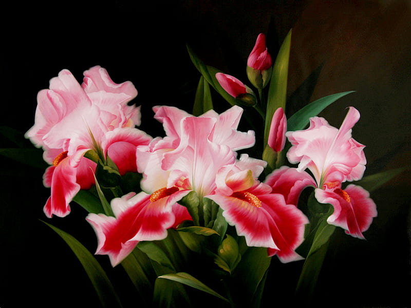 Beautiful Pink flower in Painting, flower, irises, bonito, blooming, pink, HD wallpaper