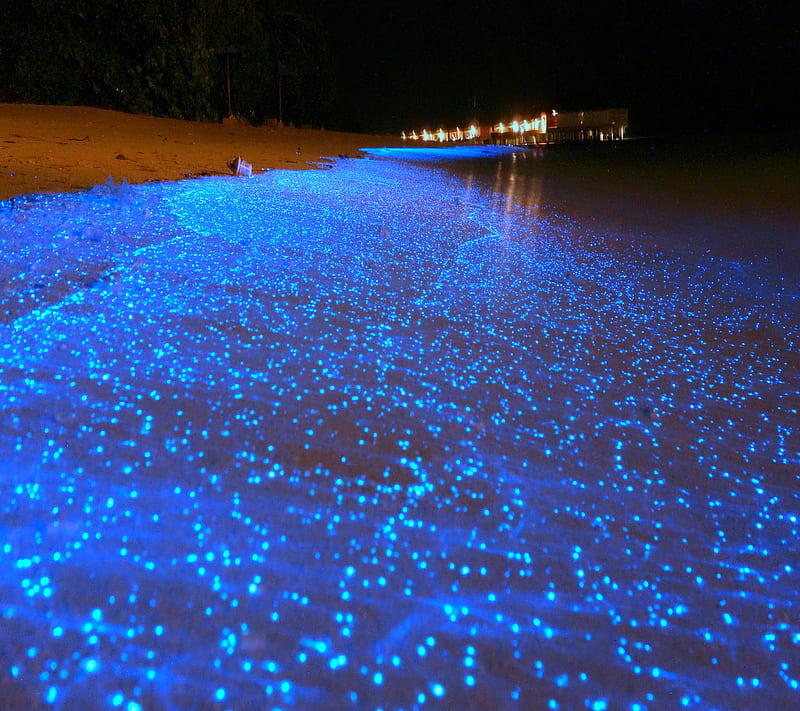 Sea of Stars, beach, glow, island, maldive, ocean, sea, water, HD wallpaper