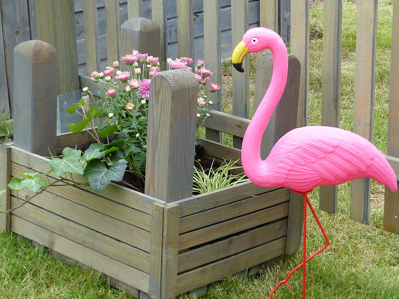 Flamingo, pink, plastic, garden, flowers, grass, HD wallpaper