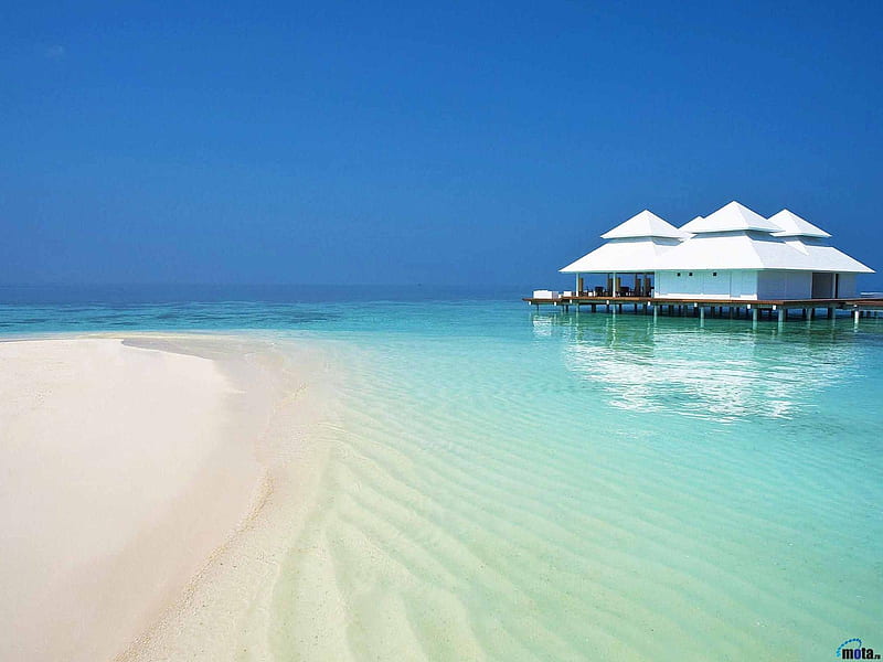 Water Villa on a White Sandy Beach, beach, sandy, ocean, nature, maldivies, island, villa, white, HD wallpaper