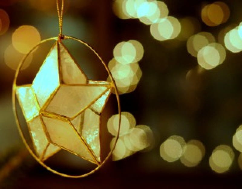 ☆ Gold Star Holidays ☆, blessed, christmas, mery, golden, yellow, lights, love, bright, siempre, season, star, HD wallpaper
