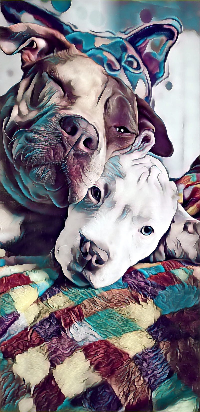 2 pitbull, americanbully, bully, dog, pit, puppies, HD phone wallpaper