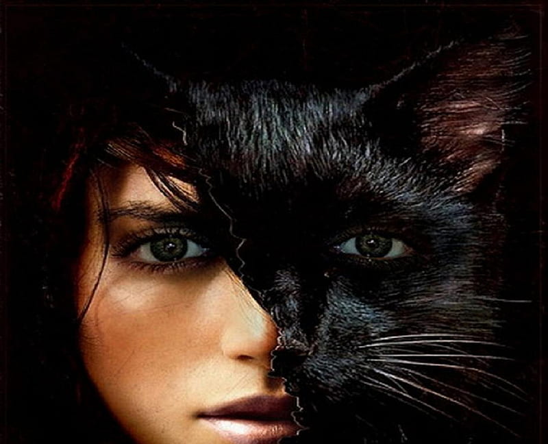 cat woman, fantasy, black, pussycat, cat, woman, HD wallpaper