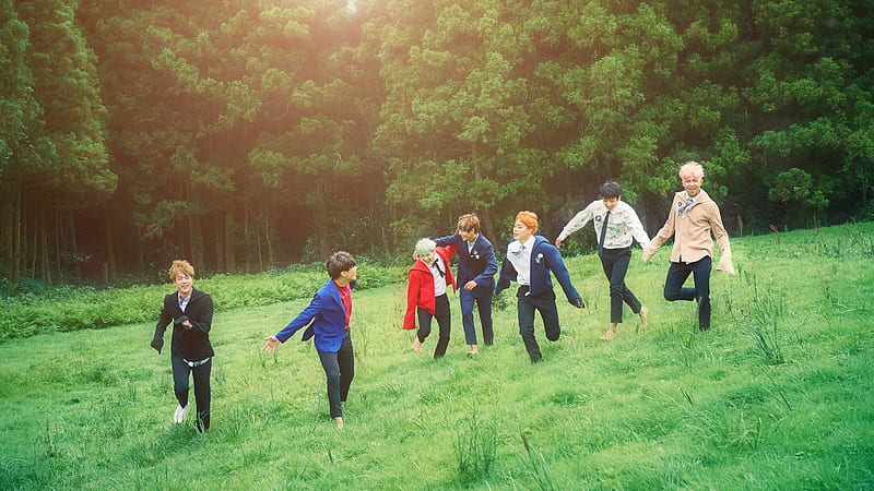 K-Pop Korean Boys Are Playing In Green Grass Field BTS, HD wallpaper