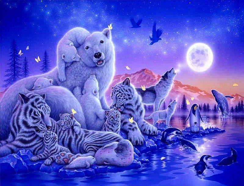 What A Wonderful World, polar bears, tigers, butterflies, abstract, owls, seals, whales, fantasy, wolves, penguins, animals, HD wallpaper
