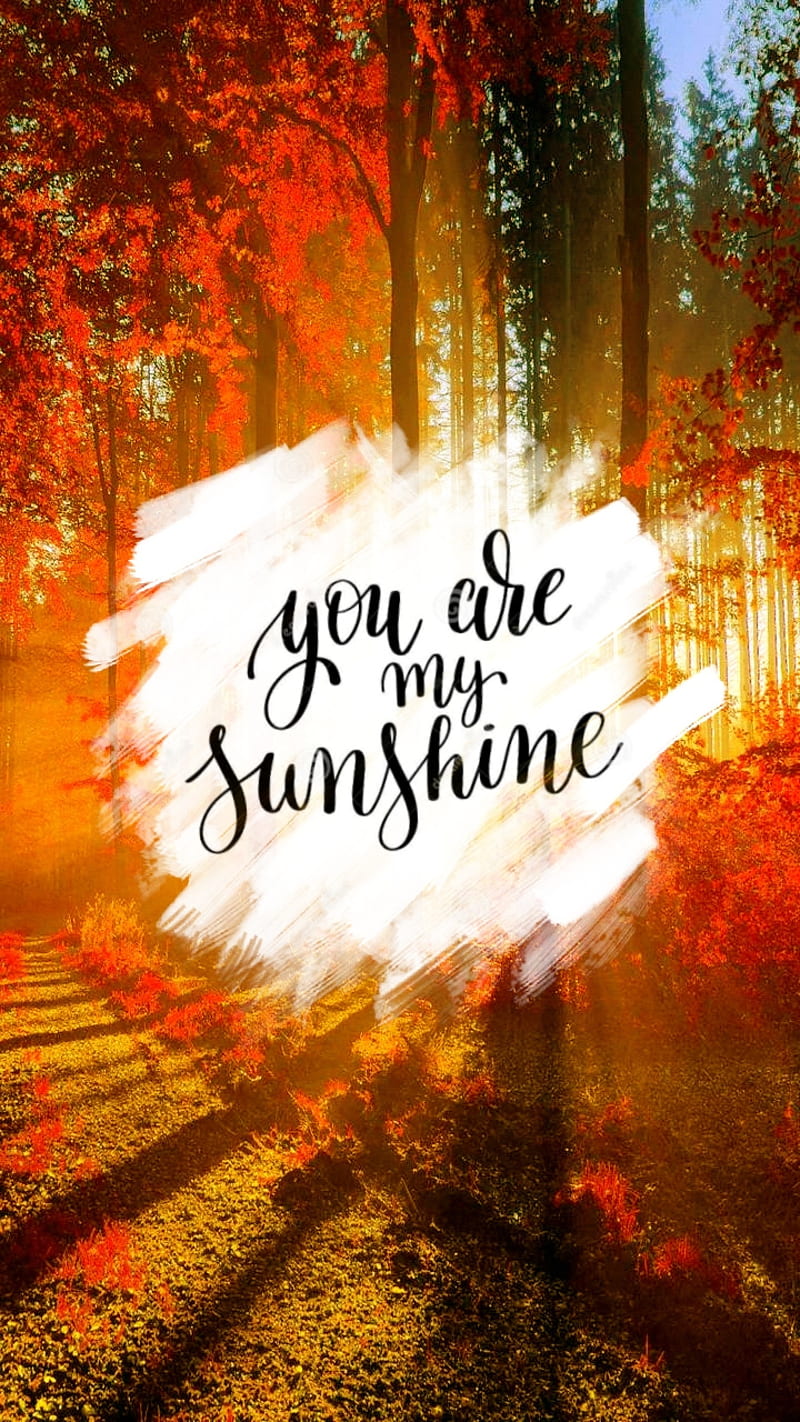 You are my sunshine, hope, positive, quotes, saying, HD phone wallpaper