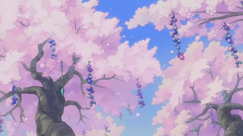 Beautiul Scenery, Scenery, Trees, Amazing, Cherry Blossoms, HD wallpaper |  Peakpx