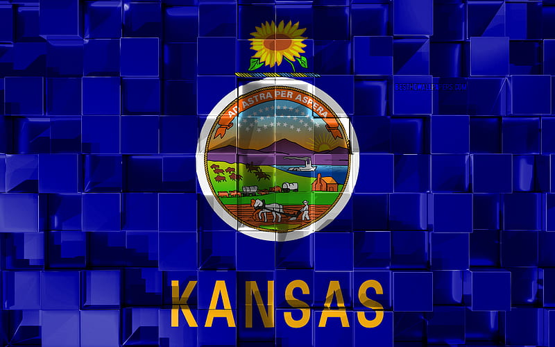 Flag of Kansas, 3d flag, US state, 3d cubes texture, Flags of American states, 3d art, Kansas, USA, 3d texture, Kansas flag, HD wallpaper