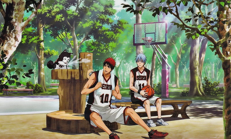 Kuroko No Basket, Kagami Taiga, Red, Friends, Basketball, Green, Dog, Park, Blue, Kuroko Tetsuya, HD wallpaper