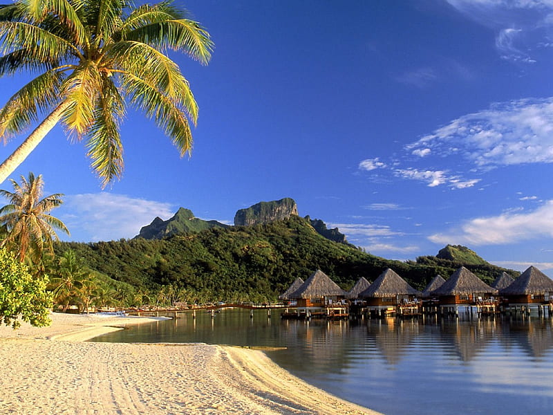 Moana Beach ~ Bora Bora, beach, beaches, nature, moana, tropical, HD  wallpaper | Peakpx