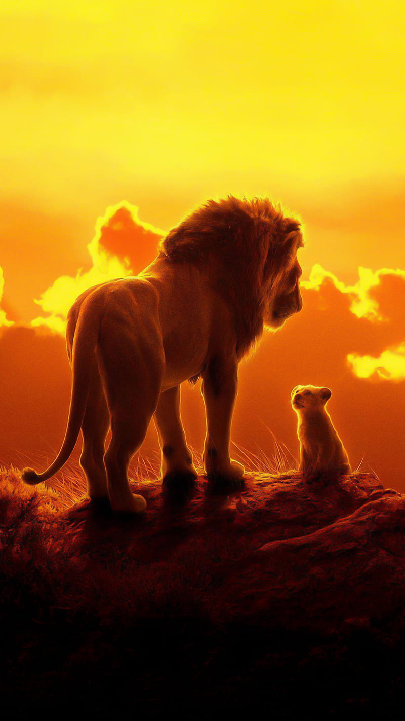 Lion King, 2019, disney, lion, lions, love, movie, papa, HD phone wallpaper