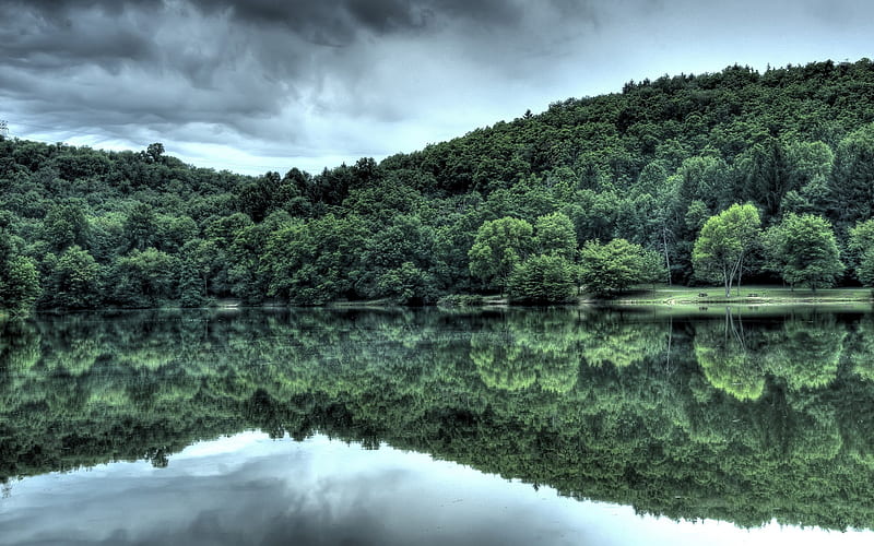 Forest Lake Reflection, HD wallpaper