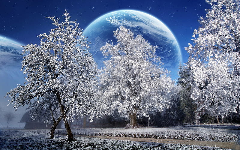 A Beautiful Winter With A Big Moon, mystical, forest, trees, winter, cold, tree, fantasy, moon, snow, ice, wald, nature, season, earth, HD wallpaper