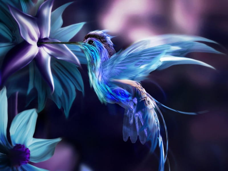 Hummingbird, flowers, purple, blue, HD wallpaper