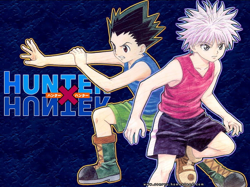 GON vs PITOU _ Hunter X Hunter _ AMV HILLS - video Dailymotion