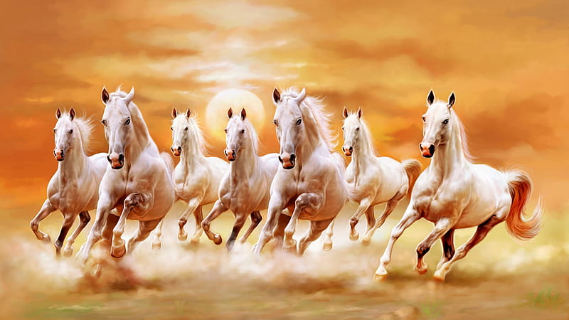 Beautiful White Horses, sunset, orange, sky, animals, digital, HD wallpaper