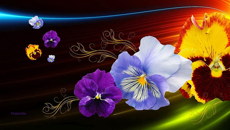 Pansies fantasy, colorful, pretty, fantasy, lovely, pansies, flowers, bonito, spring, HD wallpaper