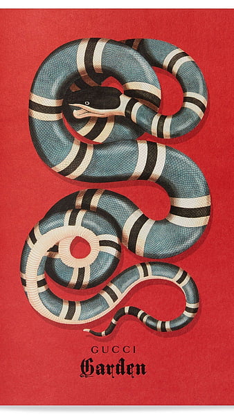 Gucci snake png HD wallpapers | Pxfuel