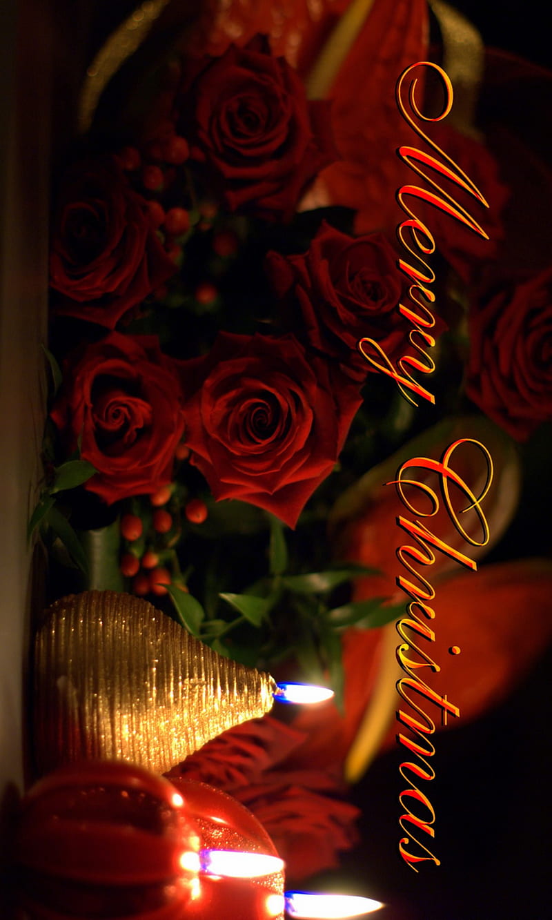 merry Christmas, candle, holiday, mistletoe, rose, HD phone wallpaper