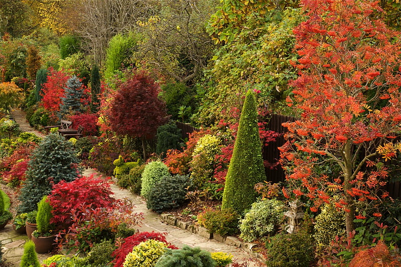 Autumn Garden, home, autumn, october, japanese garden, HD wallpaper ...