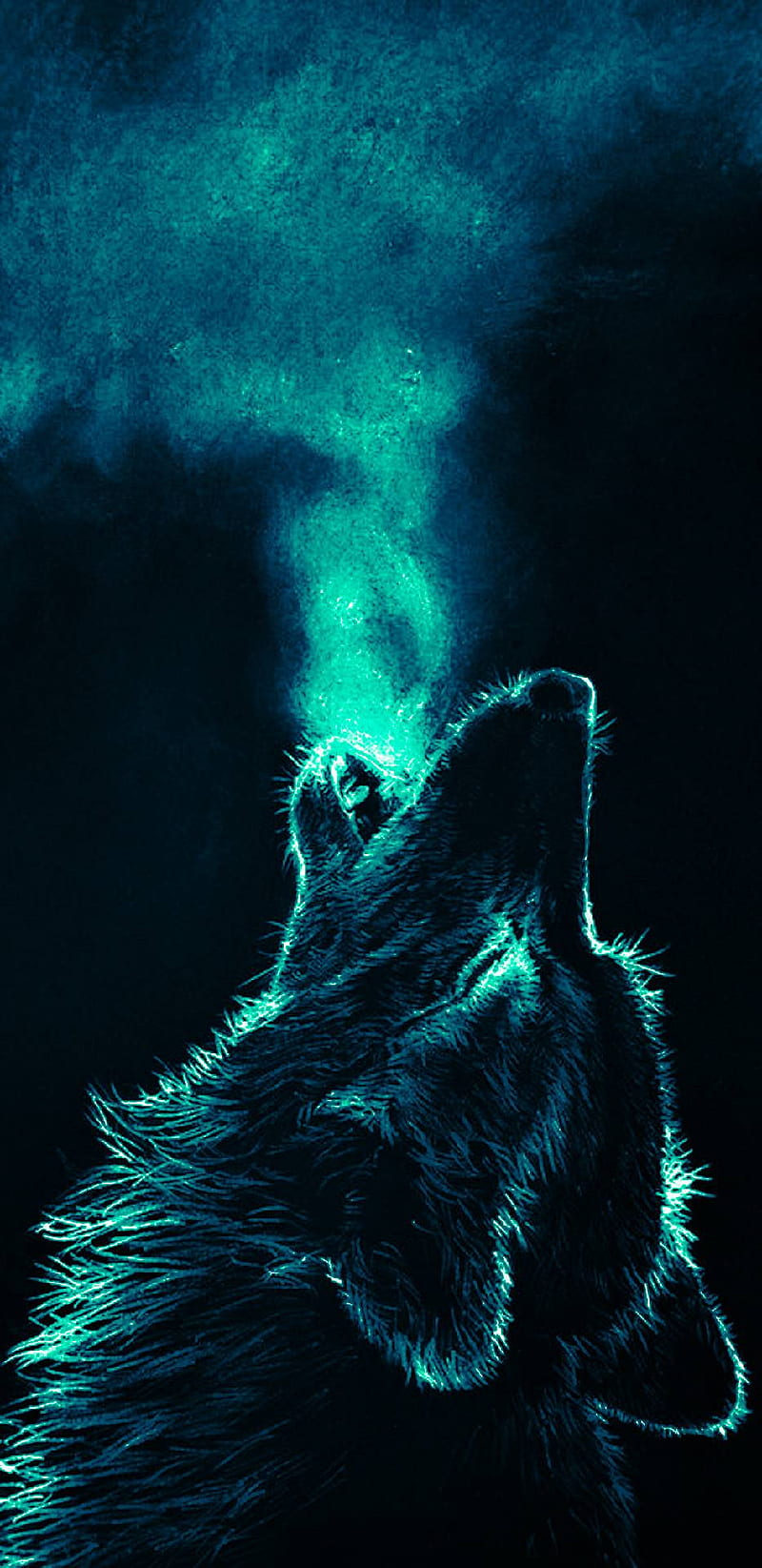 Wolf, howl, lone, HD phone wallpaper