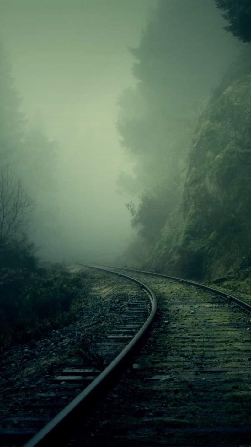 train tracks, autumn, green, landscapes, railroad, railway, track, tracks, HD phone wallpaper